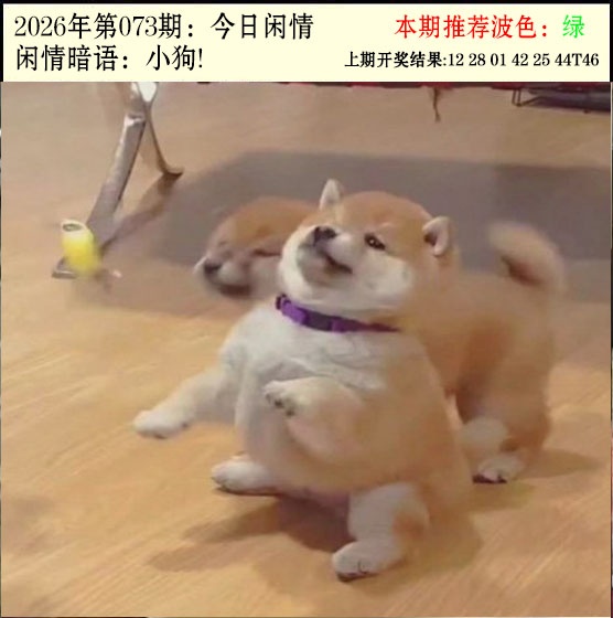 073期今日闲情2[图]