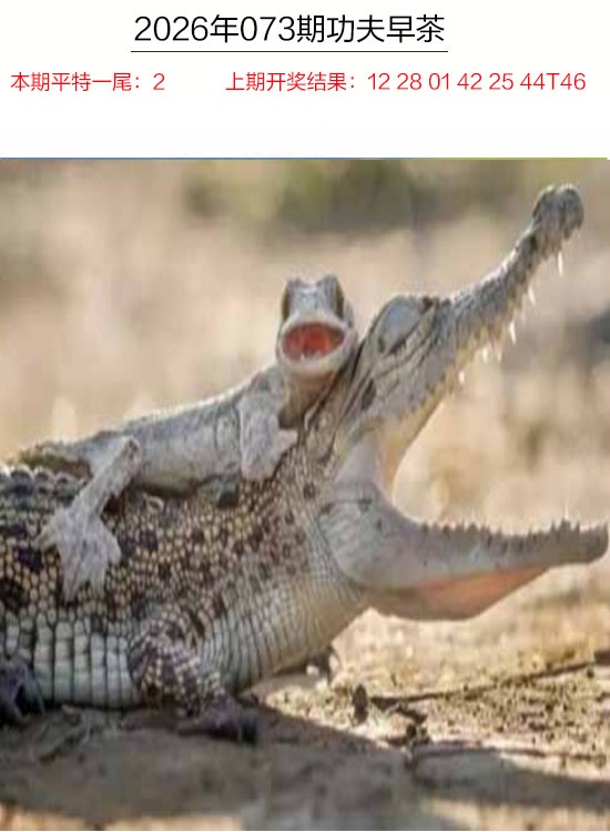 073期功夫早茶[图]