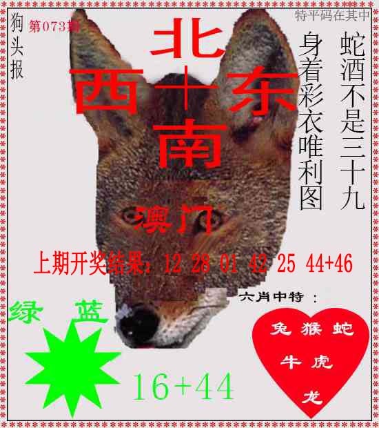 073期狗头报[图]