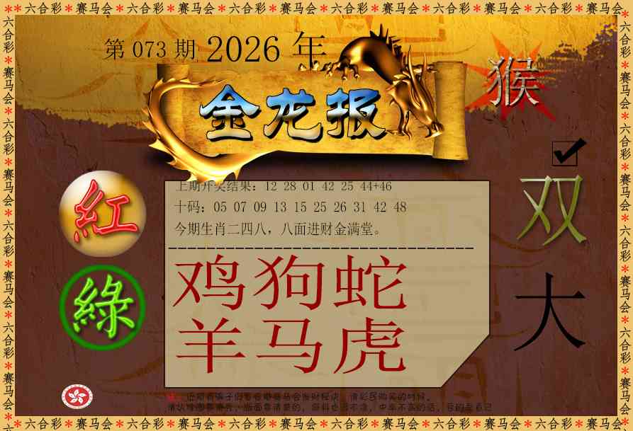 073期金龙报[图]