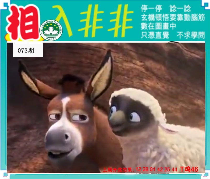 073期相入非非[图]