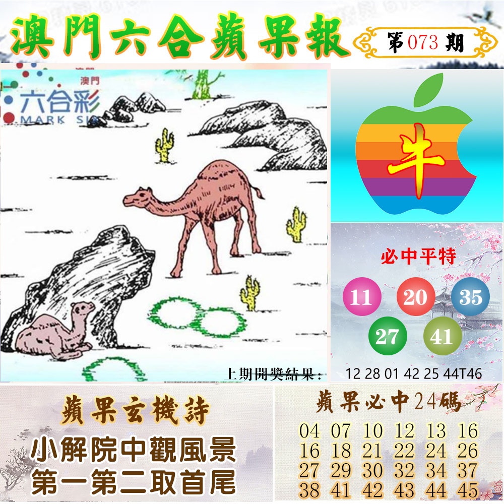 073期苹果报[图]