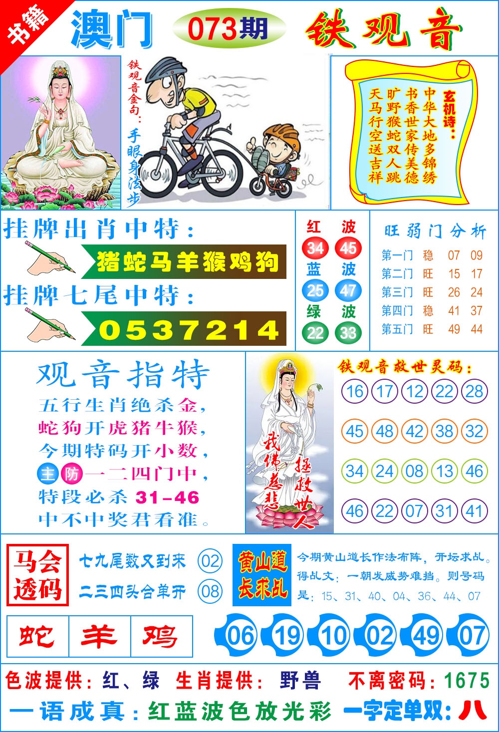 073期澳门铁观音[图]