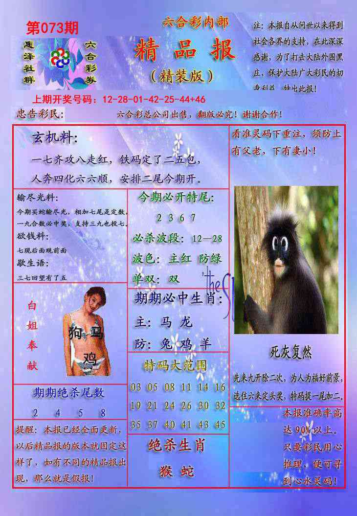 073期精品报[图]
