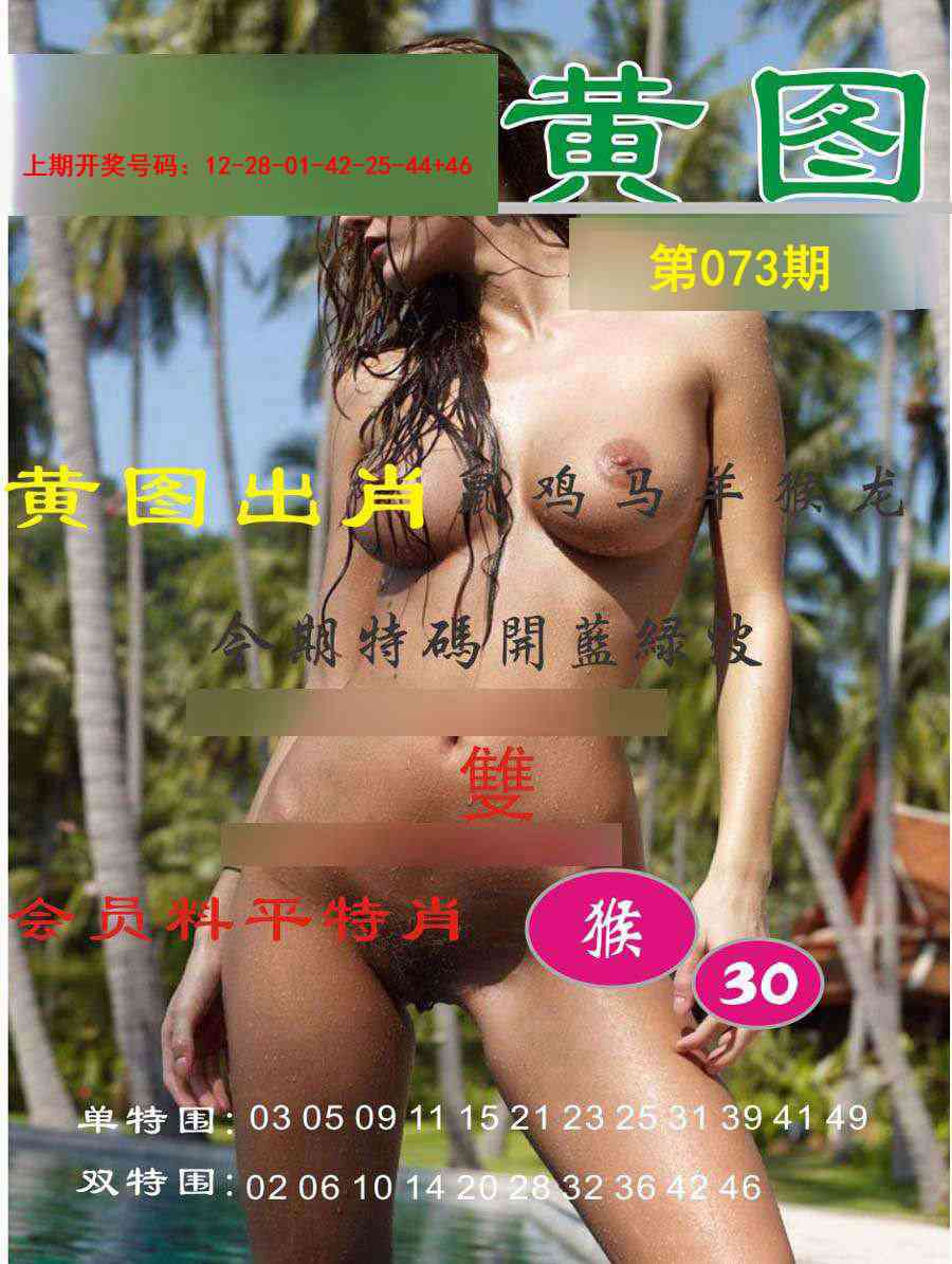 073期黄图[图]