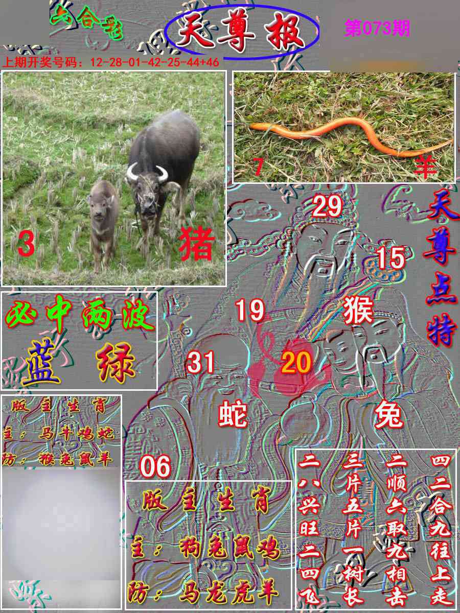 073期天尊报[图]