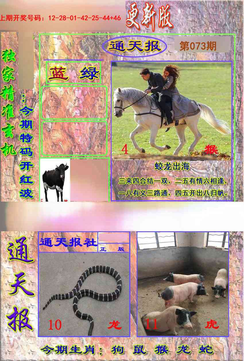 073期新通报[图]