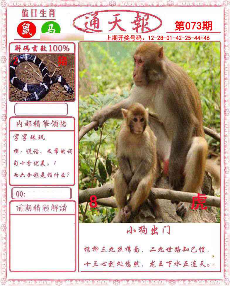 073期正版通天报[图]