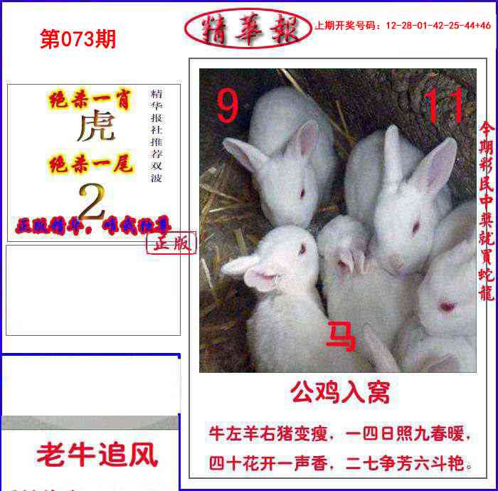 073期新精华报报[图]