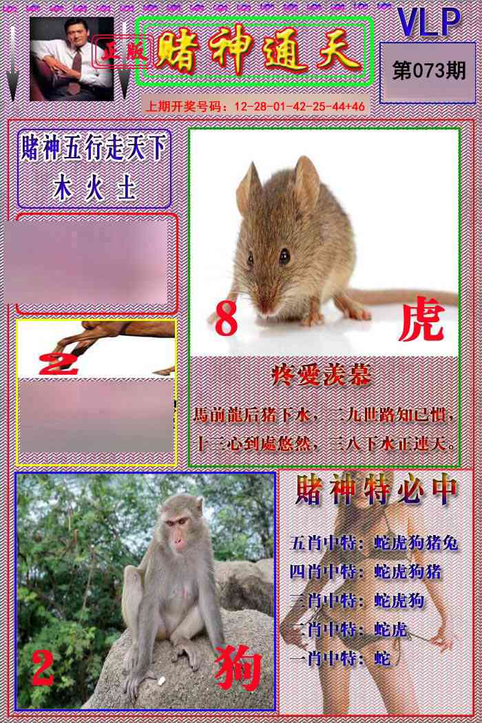 073期赌神通天报[图]