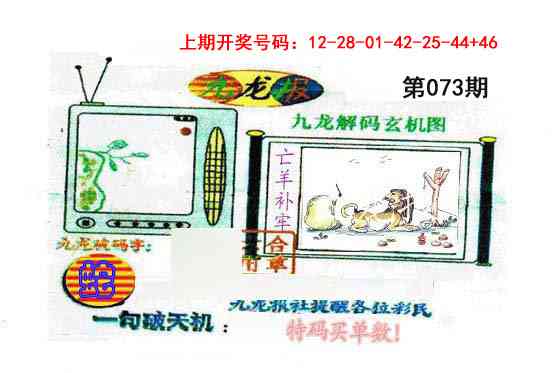 073期九龙报[图]
