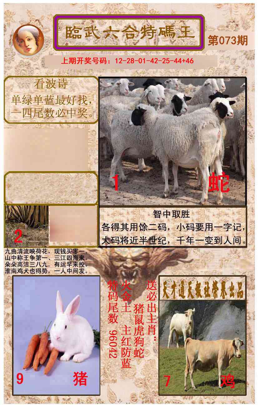 073期临武六合特码王[图]