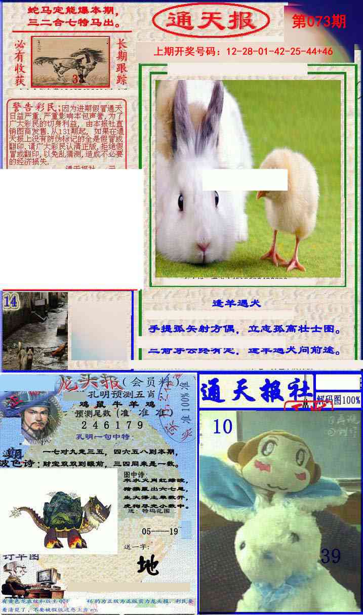 073期实力通天报[图]