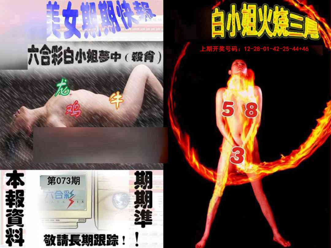 073期环球美女特码报[图]