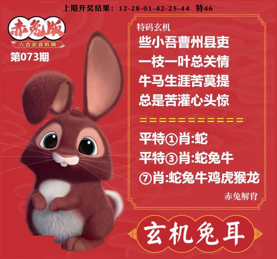 073期玄机兔耳[图]