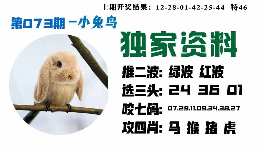 073期小兔鸟[图]